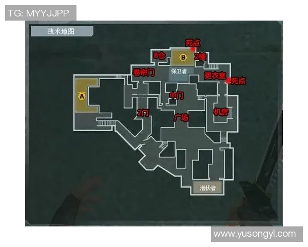 深入分析IG战队在S15赛季的防守策略与战术执行