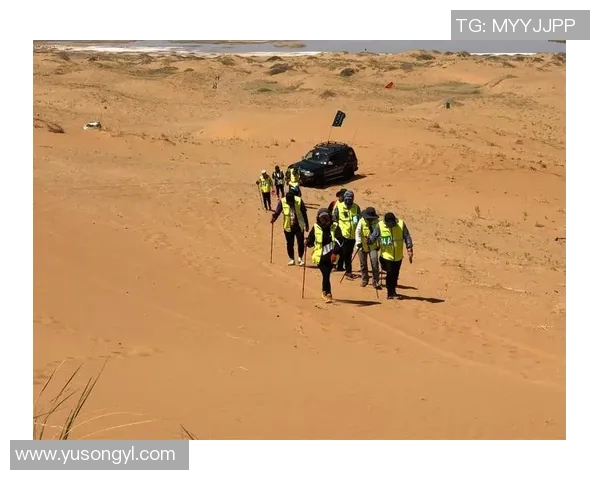 esports数据深度探讨王娜在DOTA2世界中的成长与挑战之旅